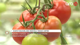 Pomidor məhsulu yetişdirilən istixanalarda videomonitorinqlər davam edir