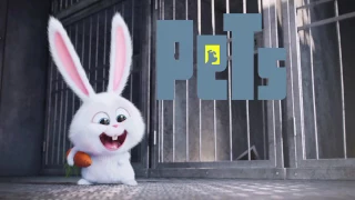Taylor Swift-The secret life of pets songs "welcome to New York"