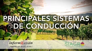 6.1 Principales sistemas de conducción