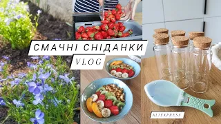 СМАЧНІ СНІДАНКИ 😋 НАШЕ ПОДВІР'Я 🌳 ШВИДКЕ ПРИБИРАННЯ 👌 клумба / мотивація / система поливу