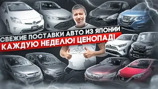 Свежие поставки авто из Японии каждую неделю. Летний ЦЕНОПАД!