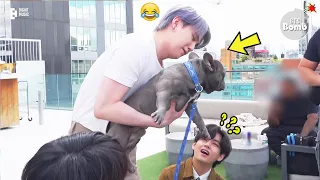 BTS (방탄소년단) with animals - Cute moments