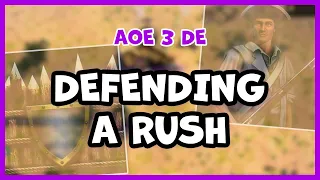 How to defend a rush | AOE3 DE