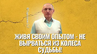 Живя своим опытом - не вырваться из колеса судьбы! Торсунов лекции