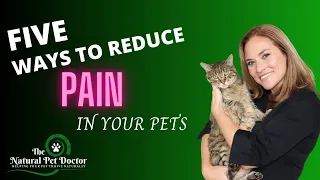 How To Reduce Pain Naturally in Your Dogs and Cats (Top 5 Ways)