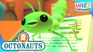 @Octonauts - Helping Our Friends | Compilation | Wizz Cartoons