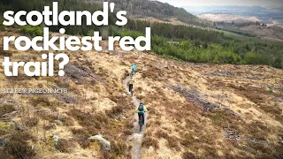 Conquer the Red MTB trails at Laggan: A challenging Scottish Trail Centre!