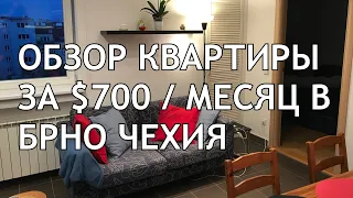 Обзор нашей съемной квартиры в Брно за $700/мес