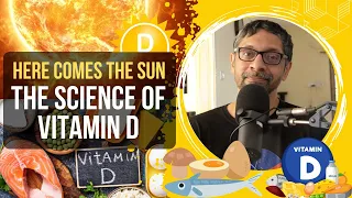 Here Comes The Sun: The Science of Vitamin D