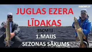 Juglas ezera līdakas