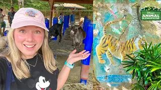 Disney's Animal Kingdom! Tigers, Bats, First Halloween Merch, Wildlife Express Train & More