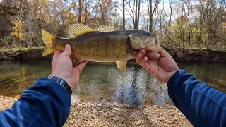 November Creek Fishing in Middle TN— Hungry Smallmouth?