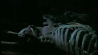 Movie Stills From Burial Of The Rats (1995)