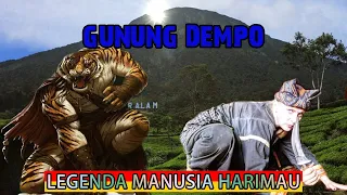 WARISAN LELUHUR!!LEGENDA MANUSIA HARIMAU GUNUNG DEMPO