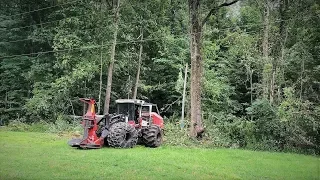 Epic tree fell | Gotta see!!!