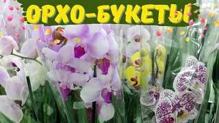 Орхо-букеты. Обзор орхидей в торгово-развлекательном центе «Твой дом»