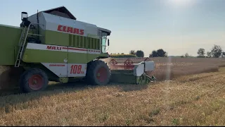 Claas dominator 108 Sl Maxi.Ремонт.Робота в полі🌾