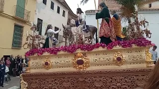 semana santa guadix 2024 domingo de ramos borriquilla