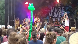 The Magic Mumble Jumble Live@BurgHerzbergFestival 2019