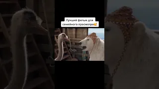 Весёлый фильм про говорящих животных🤣  #фильмы #shorts #моменты