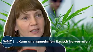 KONTROLLIERTES LEGALES KIFFEN: Experten beraten über Umsetzung der Cannabis-Freigabe