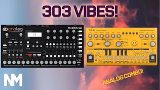 Elektron Analog4 Behringer TD3 Jam #6 | 303 Vibes! | Roland TB 303 Clone | Noisy Machines (2021)