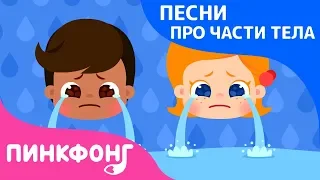 Почему? Слёзы и кожа | Песни про Части Тела | Наука для Детей | Пинкфонг Песни для Детей