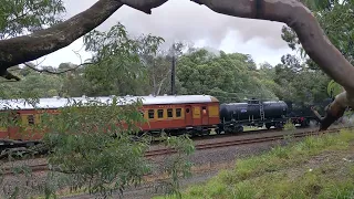 5917 hauling 9S41 through Jannali 12 May 2024