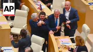 Skirmishes erupt in Georgian Parliament during discussion over divisive bill