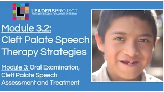 Module 3.2- Cleft Palate Speech and Feeding: Cleft Palate Speech Therapy Strategies