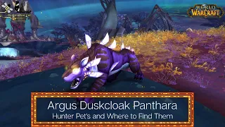 Argus Duskcloak Panthara - Hunter Pets - Where to find it in World of Warcraft