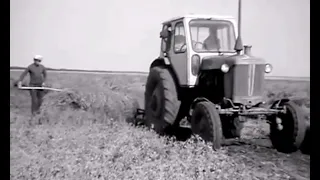 ЮМЗ-6Л трактор. Уборка гороха.  КС-2,1. ПБ-2,1  (1977).