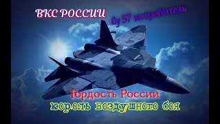 Кобра в исполнении Су-57 Макс 2019 показательные полёты в Жуковском. Авиасалон