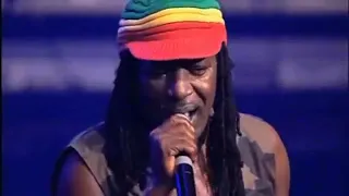 Alpha Blondy - Les Salauds Live au Zenith Paris , Mai 2009