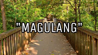 MAGULANG | SPOKEN WORD POETRY | ROSAS NA MAKATA