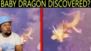 Diver Captured on Camera Something That Shocked the Whole World