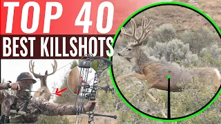 40 BEST Kill Shots in 12 Minutes