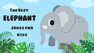 The Best Elephant Jokes for Kids I Elephant in Refrigerator