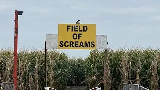 Field Of Screams | Spooky World | Scary Maze 2020 | Daytime