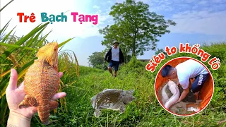 Lấy Bèo Thả Bể - Tắm Cho Rồng Úc Và Chuẩn Bị Đón Cá Trê Bạch Tạng Siêu To Khổng Lồ / Quế Nghịch