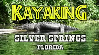 Kayak w/Gators & Monkeys | Silver Springs, FL