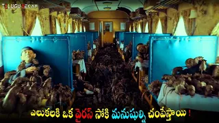 Rat Disaster (2021) Full Movie Explained in Telugu _ Telugu Recap