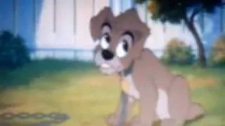 Lady and the Tramp 2-Days Go By