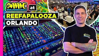 WWC is Checking in On Whats New At Reefapalooza Orlando 2024!