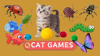 CAT GAMES - Collection of cat games, 🦜🐟🐌🦞🦋 CAT TV | Cat Stimulation Video