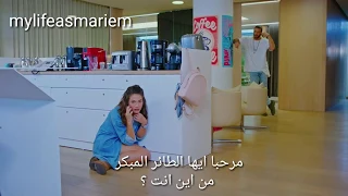 حصريا الحلقه 13 مسلسل الطائر المبكر مشهد مضحك مترجم  erkenci kuş 13