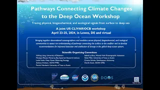 Webinar 4: Pathways Connecting Climate Changes to the Deep Ocean Webinar Series