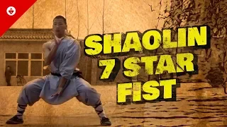 Shaolin 7 Star Fist  七星拳 [Qīxīng Quán] | OLDEST Shaolin Kung Fu Form | Wushu Training