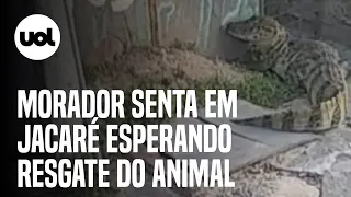 Morador imobiliza jacaré no RJ e espera bombeiros sentado no animal