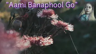 Aami Banaphool Go | Kanan Devi | Instrumental (Electric Steel Guitar) Cover | Amarnath Banik.